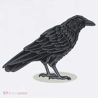 Crow Bird O White Surface Beanie thumb 2