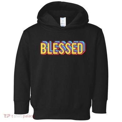 Colorful Blessed Quote Gift Toddler Hoodie