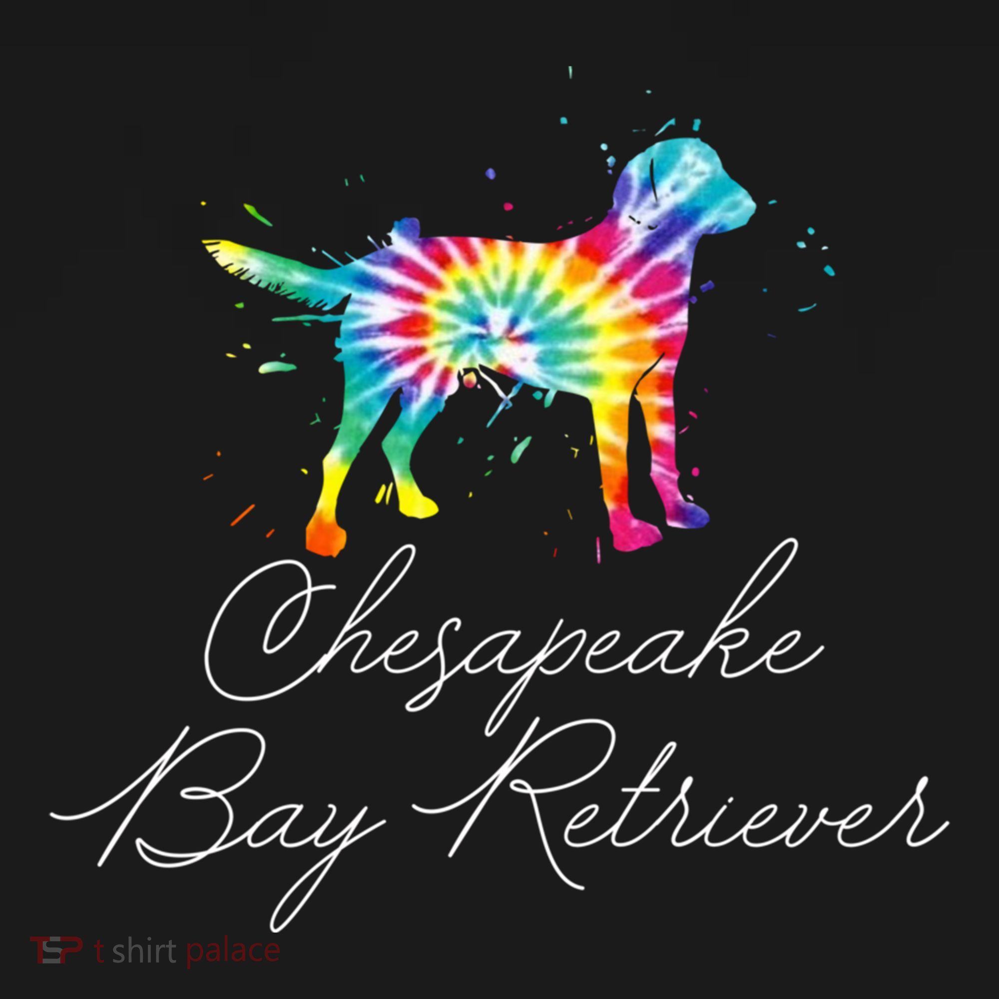 Chesapeake Bay Retriever Tie Dye Rainbow Dog Mom Lover Great Gift Women's Hoodie