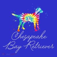 Chesapeake Bay Retriever Tie Dye Rainbow Dog Mom Lover Great Gift Mousepad thumb 1