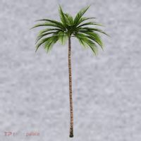 Cool Beach Summer Vacation Tropical Palm Tree Women's Sweatshirt thumb 2