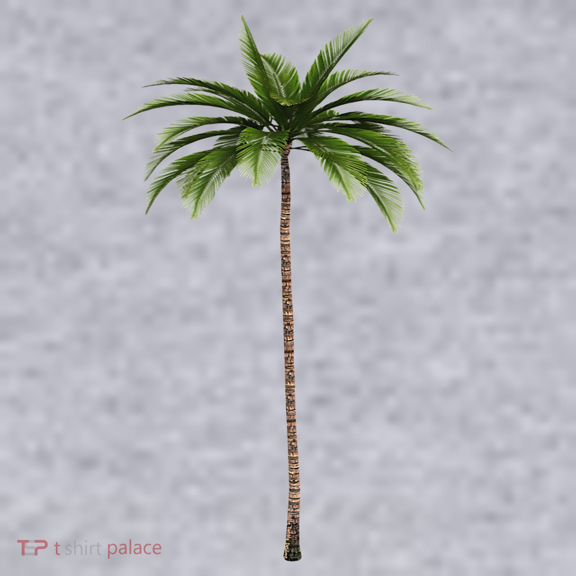 Cool Beach Summer Vacation Tropical Palm Tree Women's Sweatshirt