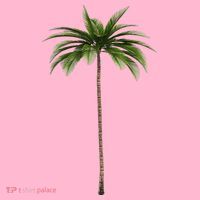 Cool Beach Summer Vacation Tropical Palm Tree Coaster thumb 2