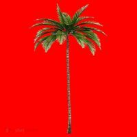 Cool Beach Summer Vacation Tropical Palm Tree Santa Hat thumb 1