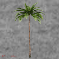 Cool Beach Summer Vacation Tropical Palm Tree Toddler Hoodie thumb 2