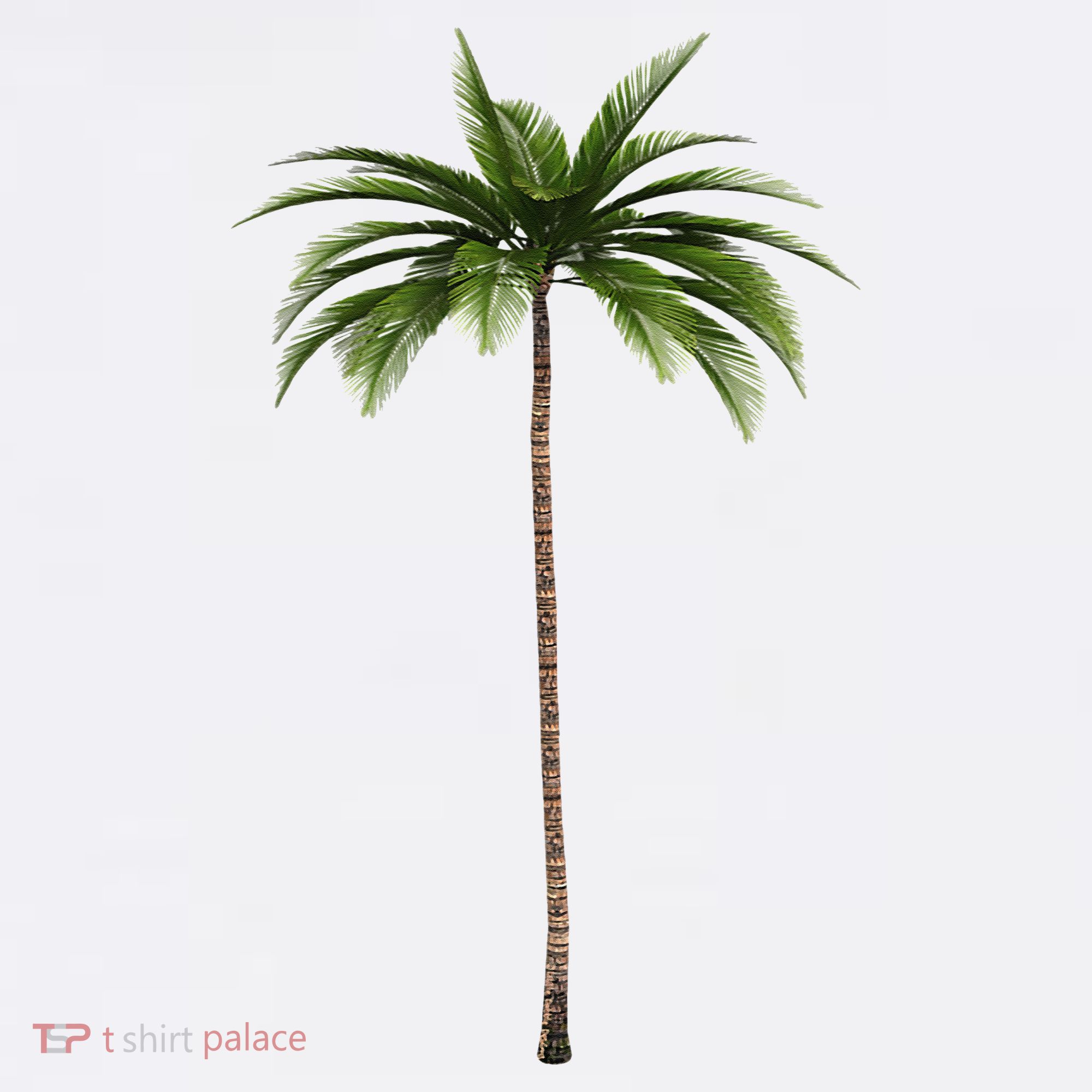 Cool Beach Summer Vacation Tropical Palm Tree Beanie