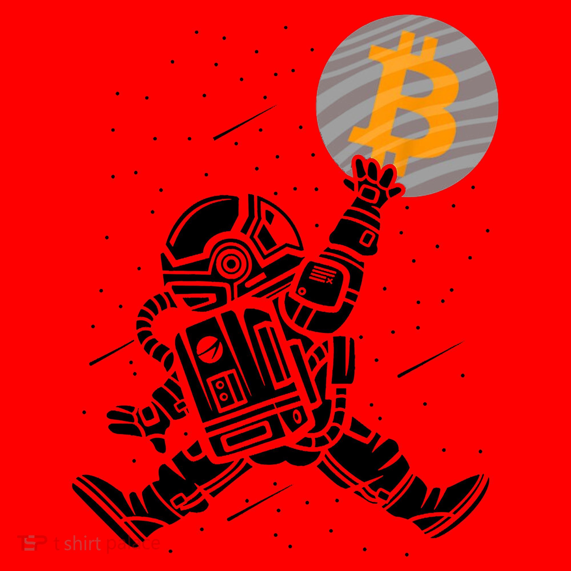 Cryptocurrency Bitcoin Space Moon Funny Santa Hat