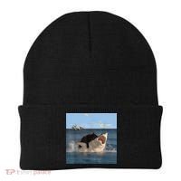 Cat Biting Shark Humorous Playful Funny Cat And Shark Beanie thumb 0