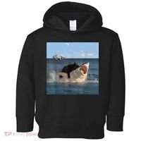 Cat Biting Shark Humorous Playful Funny Cat And Shark Toddler Hoodie thumb 0