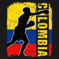 Colombian Boxing Team Colombia Flag Boxing Gloves Hoodie thumb 2