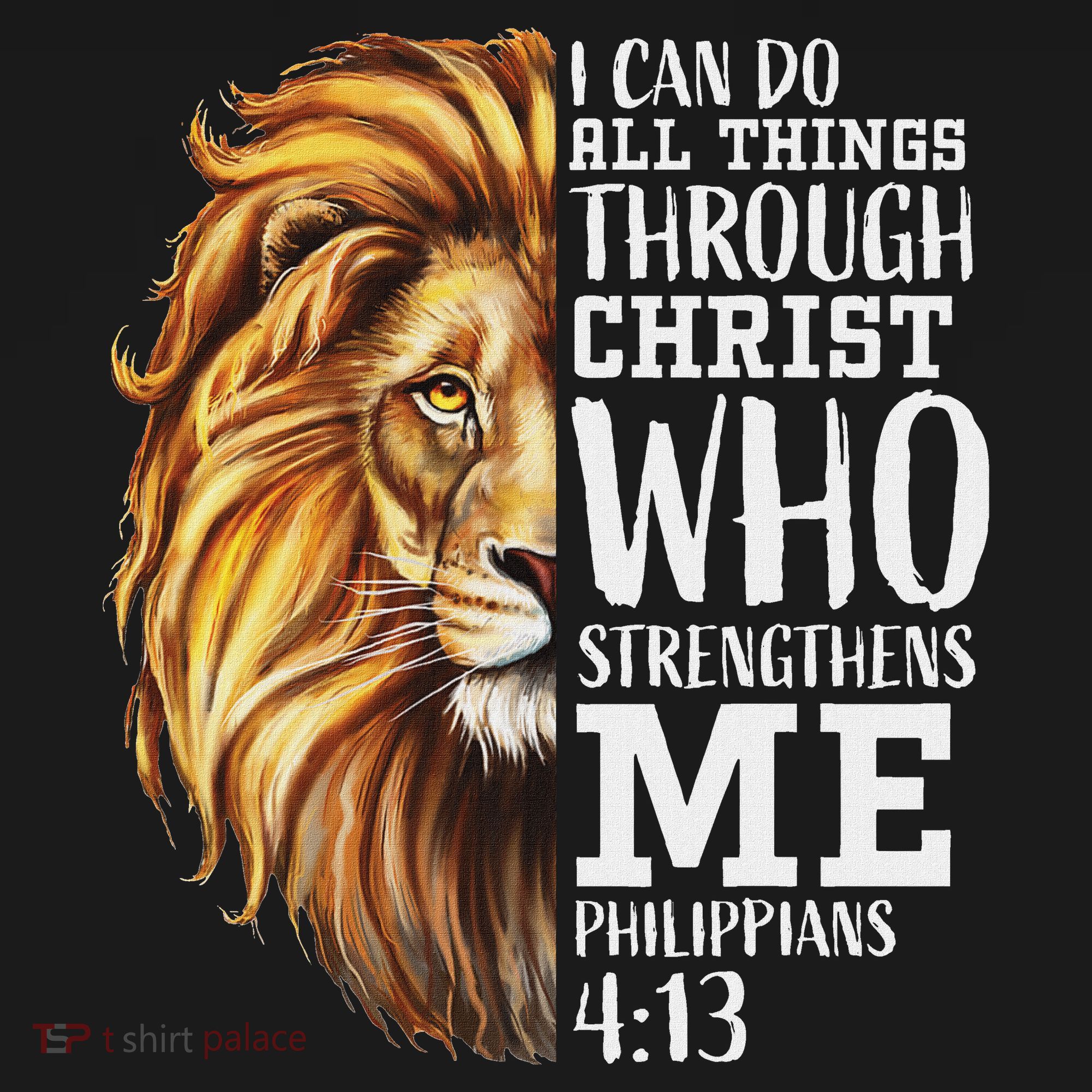 Christian Bible Verse Sayings Religious Gifts Him Lion Judah T-Shirt