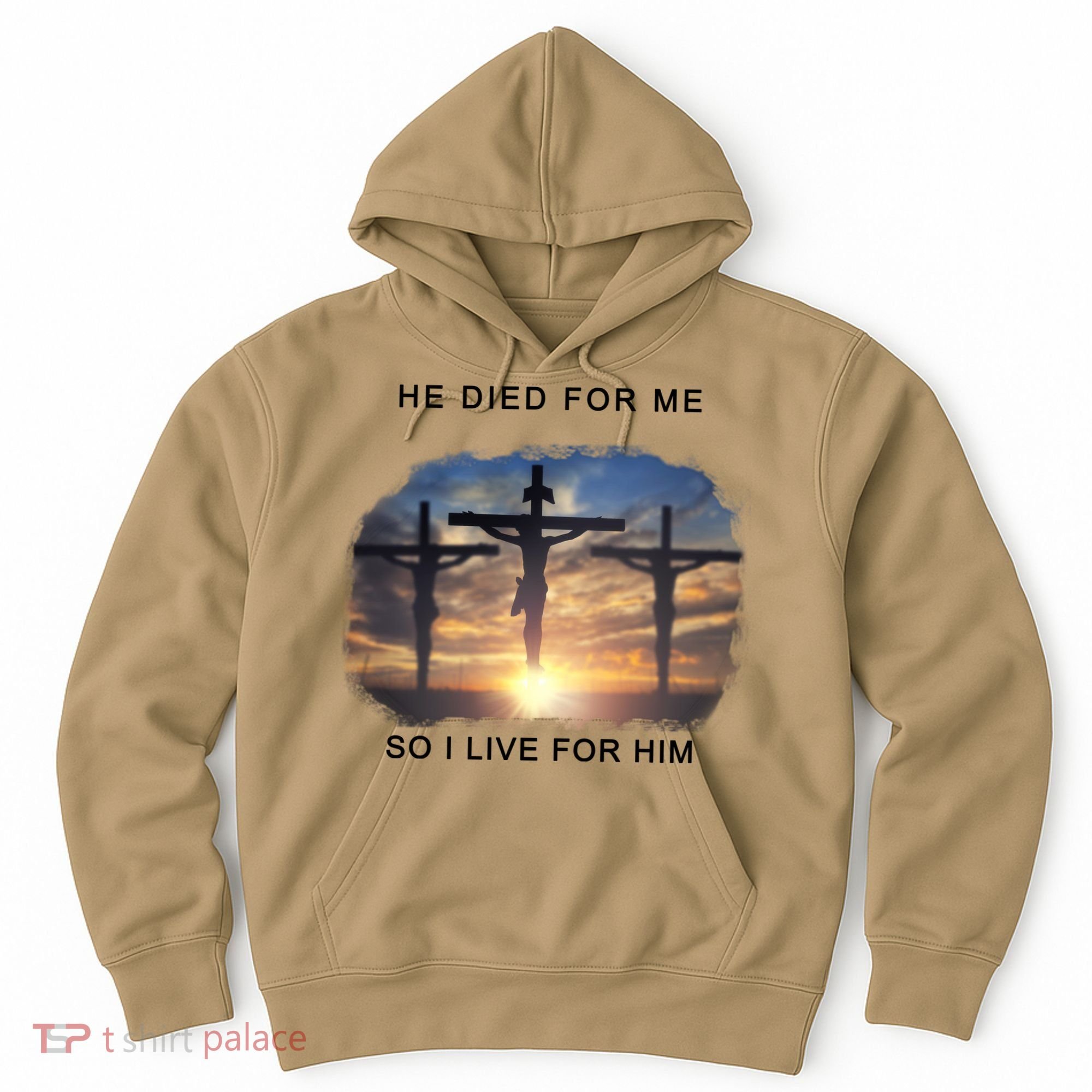Christian Bible Verse Jesus Died For Me Hoodie