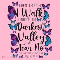 Christian Bible Verse Quote Butterfly Psalm 234 Coaster thumb 2