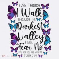 Christian Bible Verse Quote Butterfly Psalm 234 Women's Hoodie thumb 2