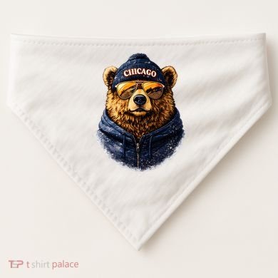 Cool Bear With Beanie Sunglasses Vintage Chicago USA-Made Doggie Bandana