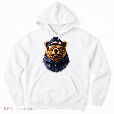 Cool Bear With Beanie Sunglasses Vintage Chicago Hoodie