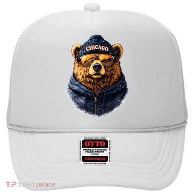 Cool Bear With Beanie Sunglasses Vintage Chicago Hat