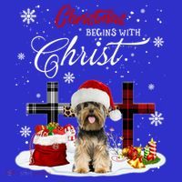 Christmas Begins With Christ Yorkie Christmas Cross Cute Gift Sweatshirt thumb 3