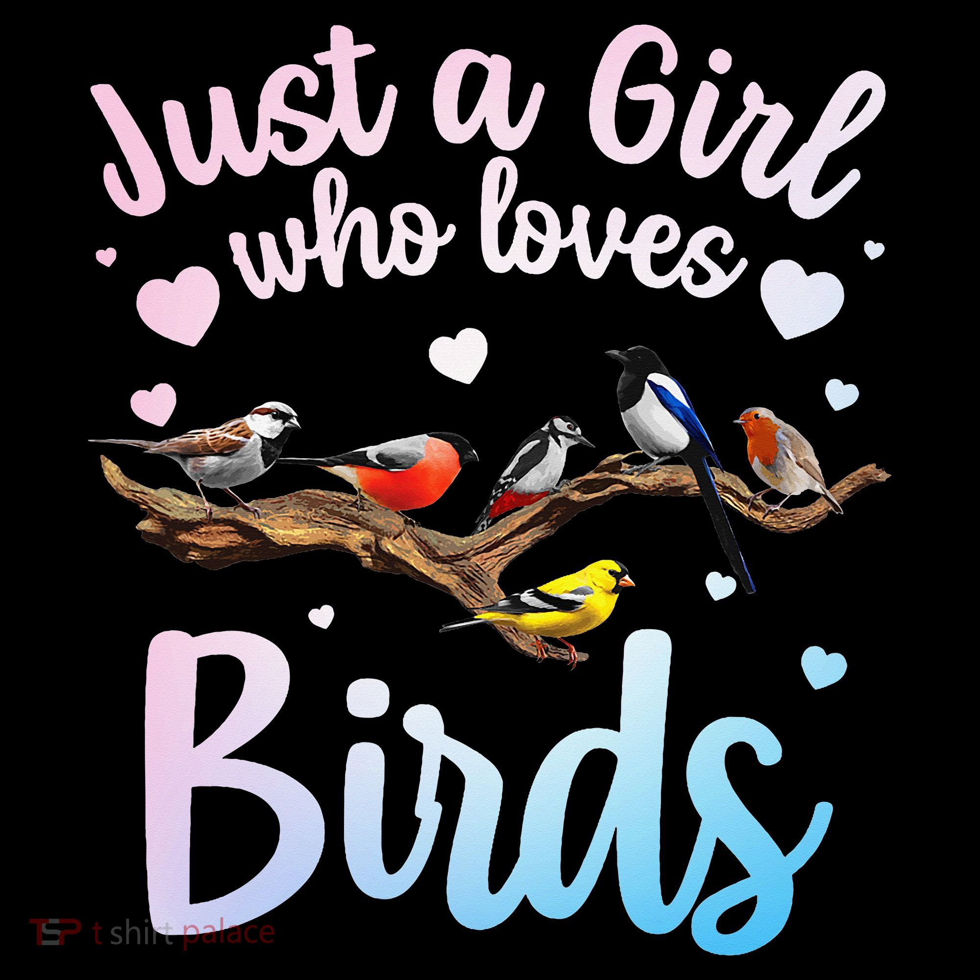 Cool Bird Watcher Art For Women Birding Nerd Birder Women's Hoodie