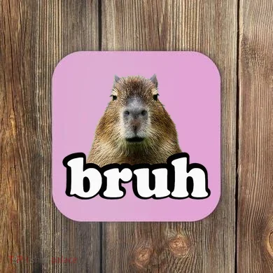 Capybara Coaster