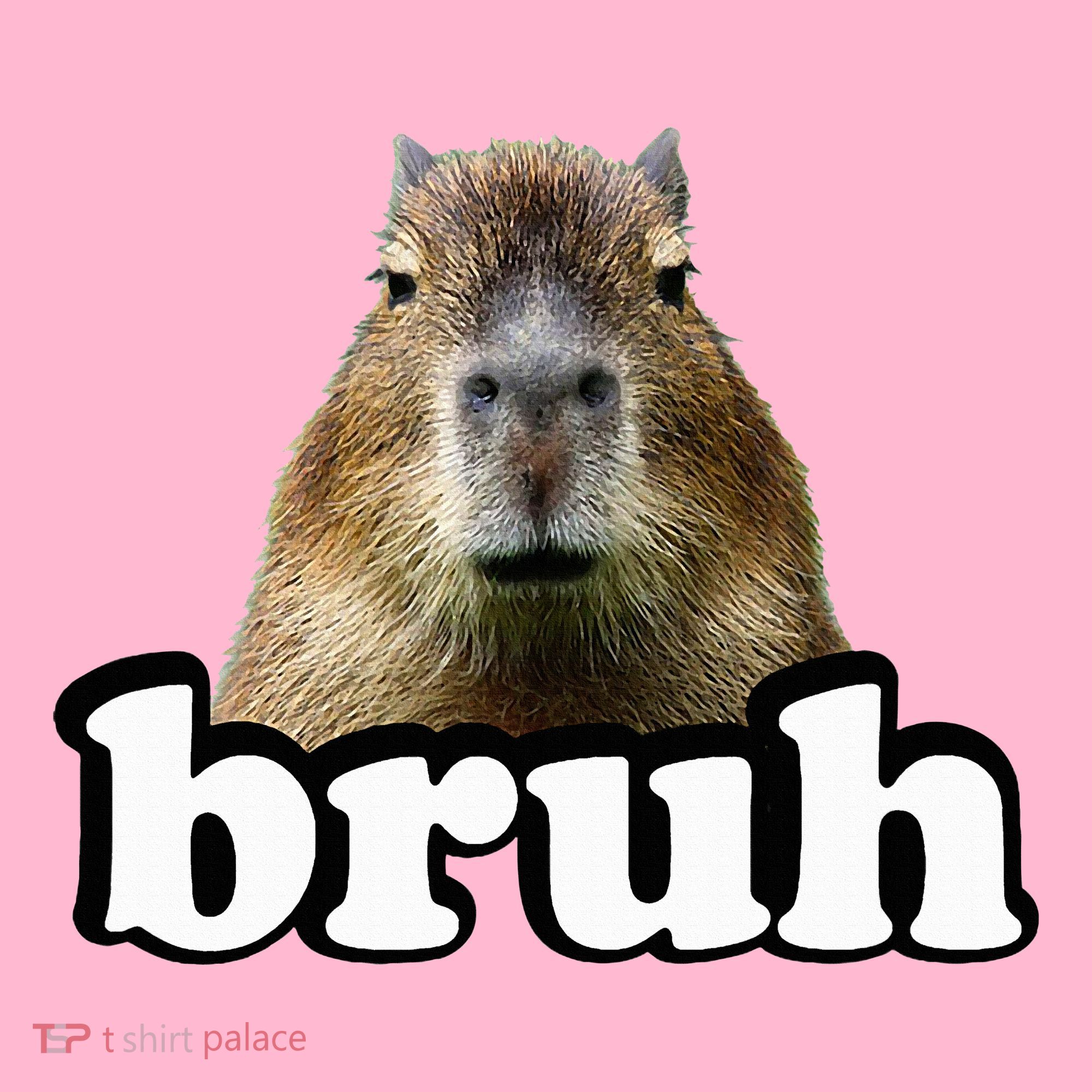 Capybara Coaster