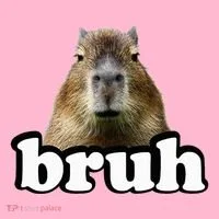 Capybara Coaster thumb 2