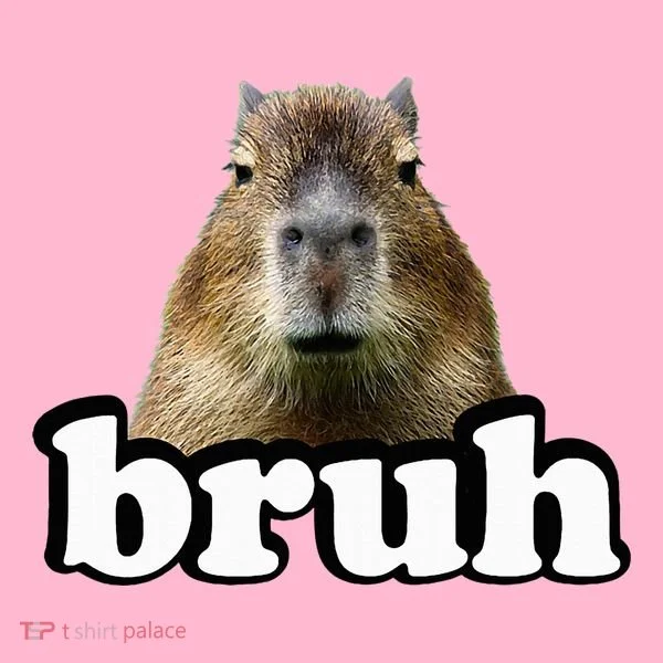 Capybara Coaster
