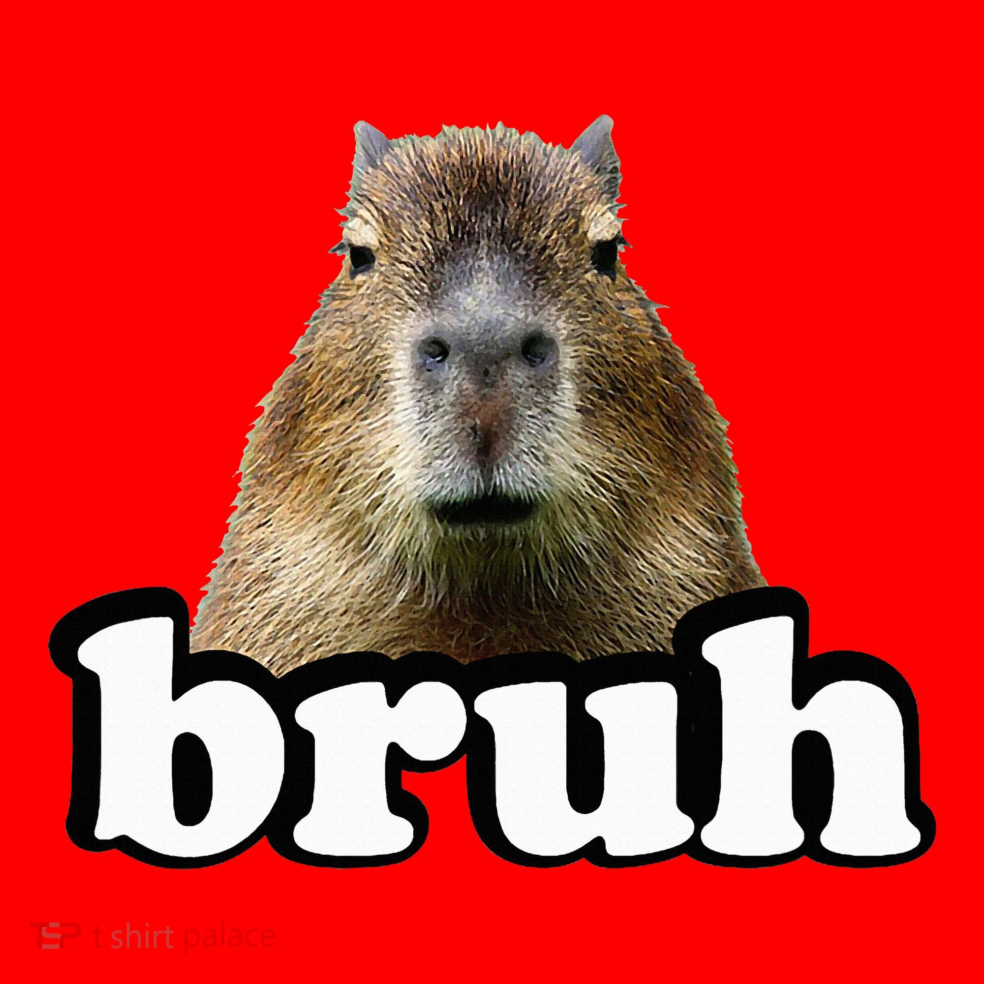 Capybara Santa Hat