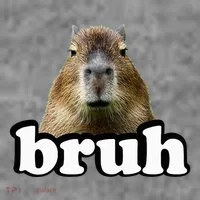 Capybara Toddler Hoodie thumb 2