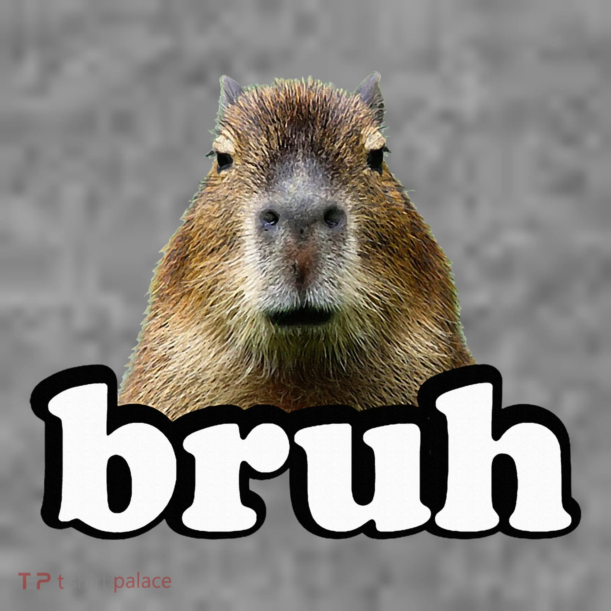Capybara Toddler Hoodie