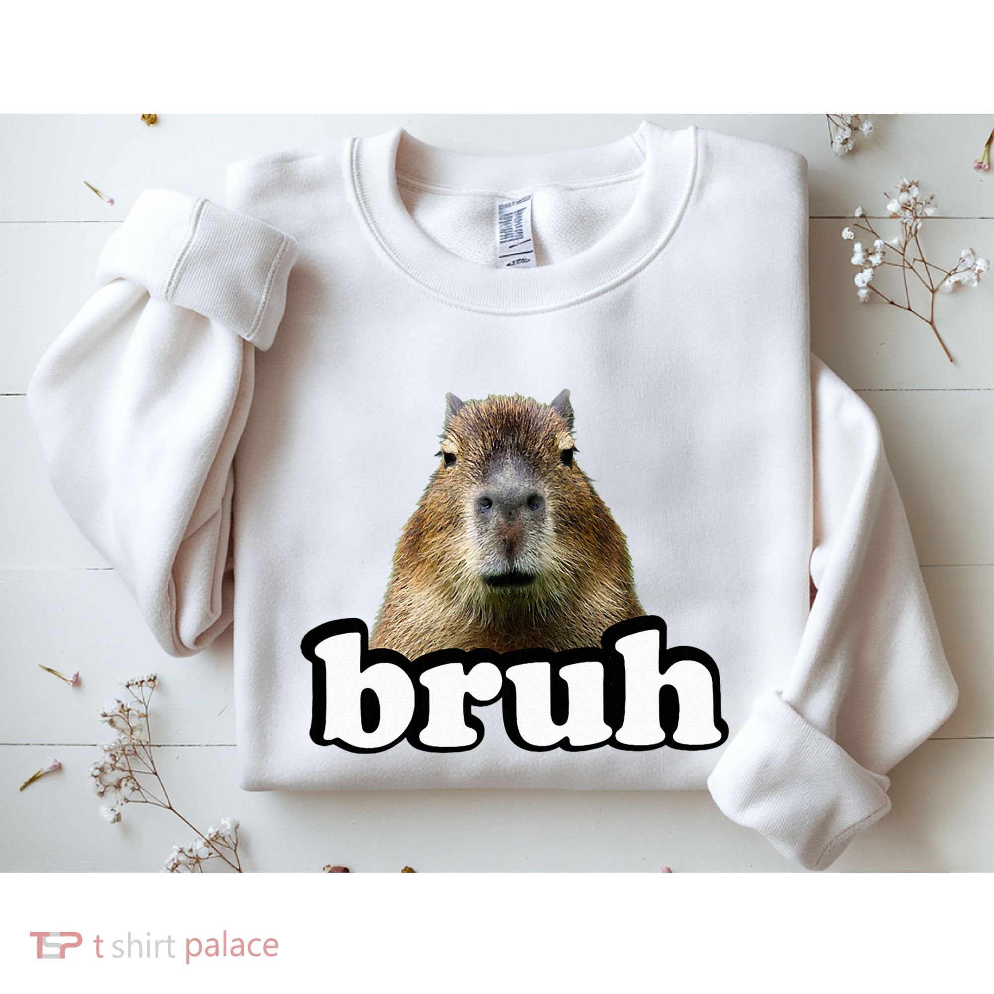 Capybara Sweatshirt
