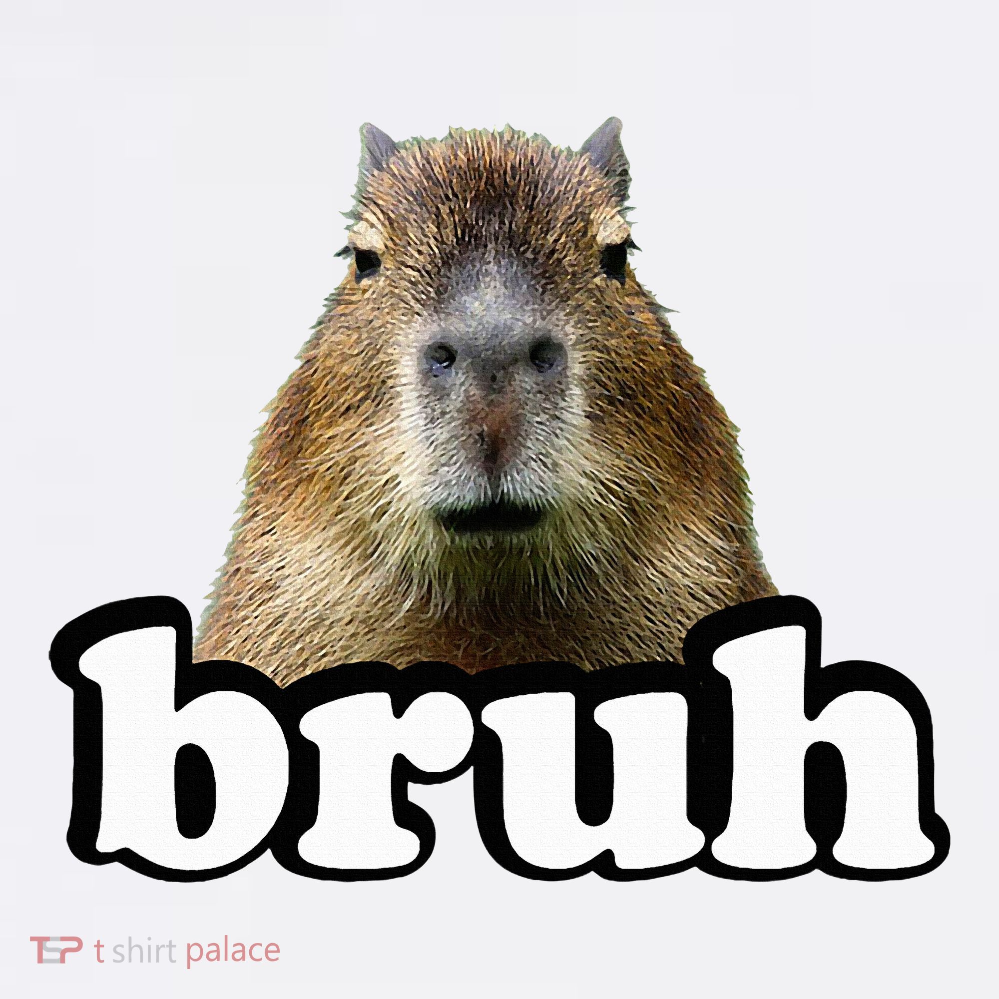 Capybara Sweatshirt