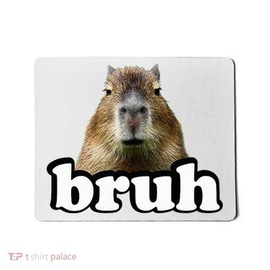 Capybara Mousepad