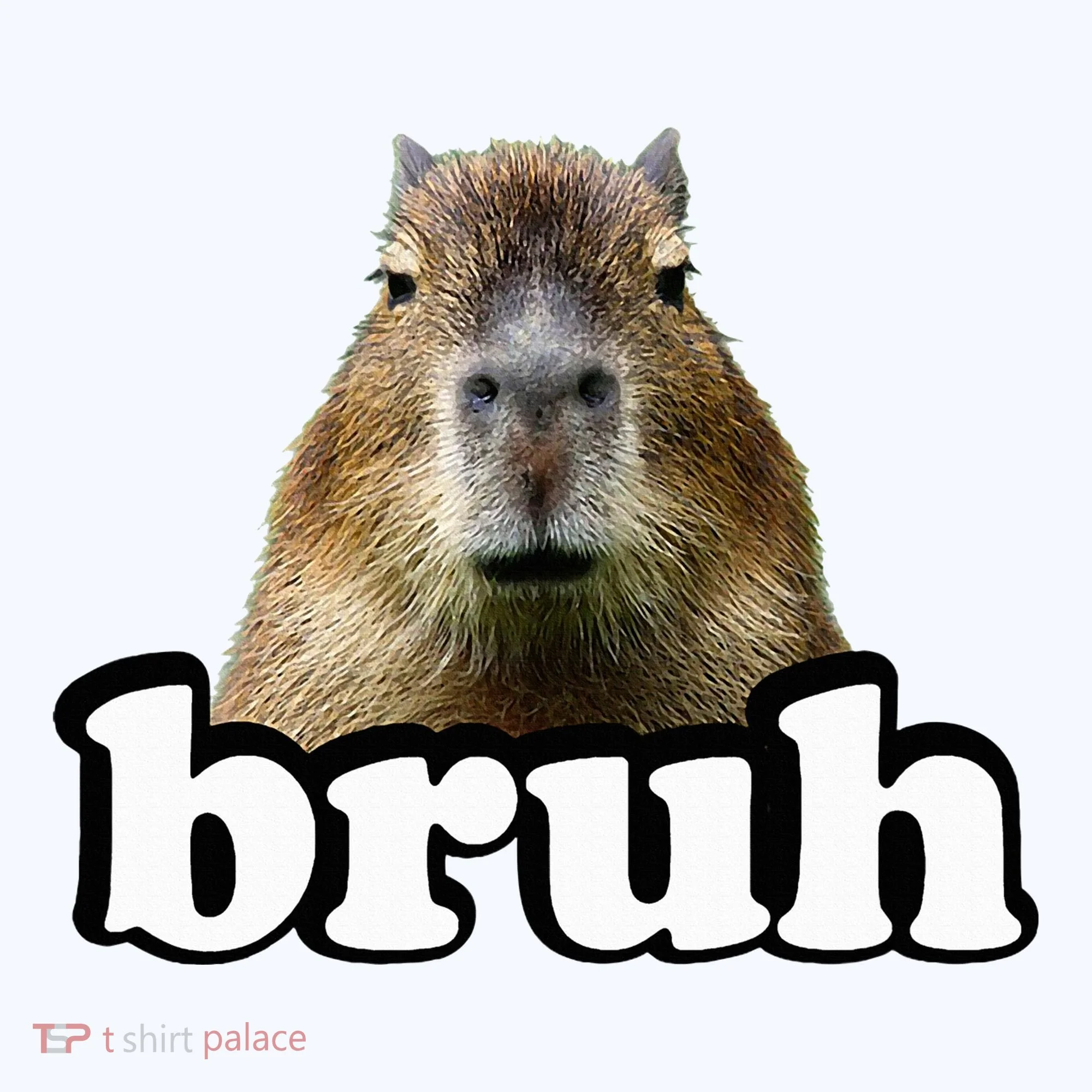 Capybara Kids Sweatshirt