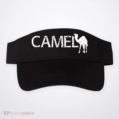 Visor