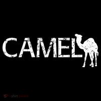 Camel Kids T-Shirt thumb 4