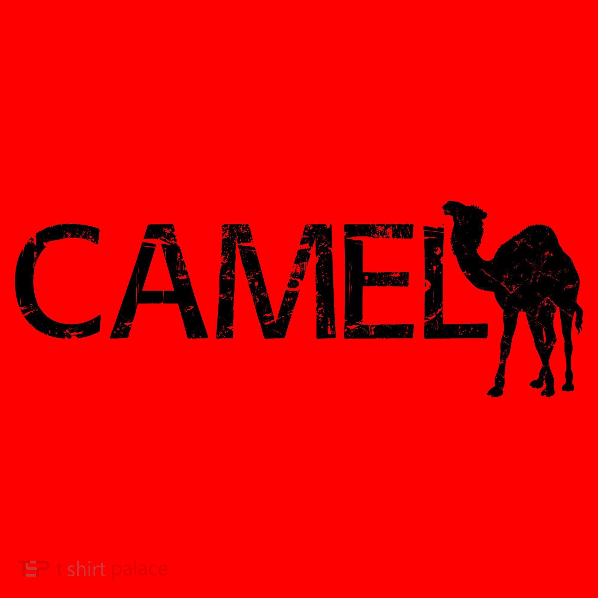 Camel Santa Hat