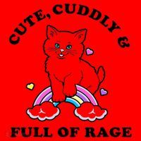 Cute Cuddly And Full Of Rage Cute Cat With Rainbow Santa Hat thumb 1