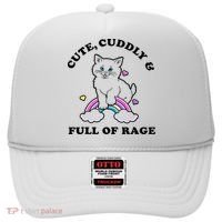 Cute Cuddly And Full Of Rage Cute Cat With Rainbow Hat thumb 0