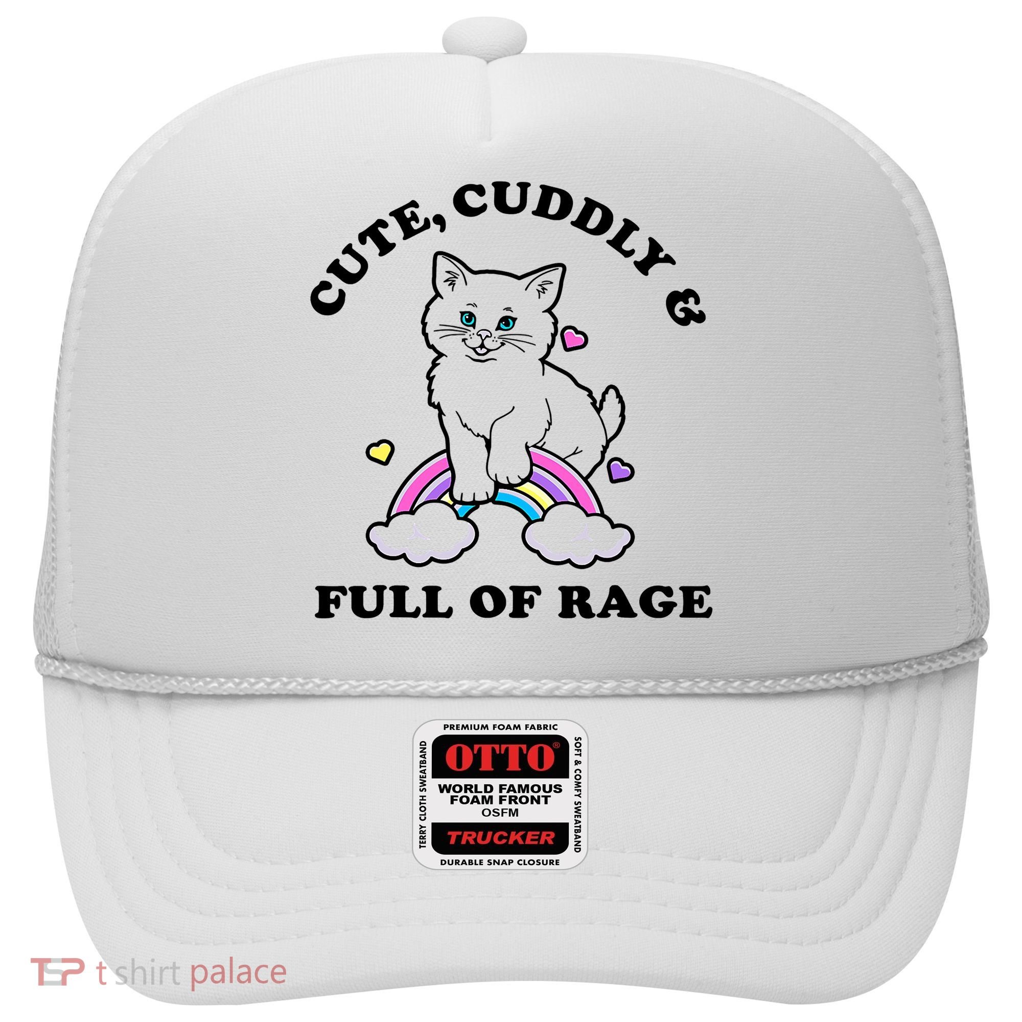 Cute Cuddly And Full Of Rage Cute Cat With Rainbow Hat