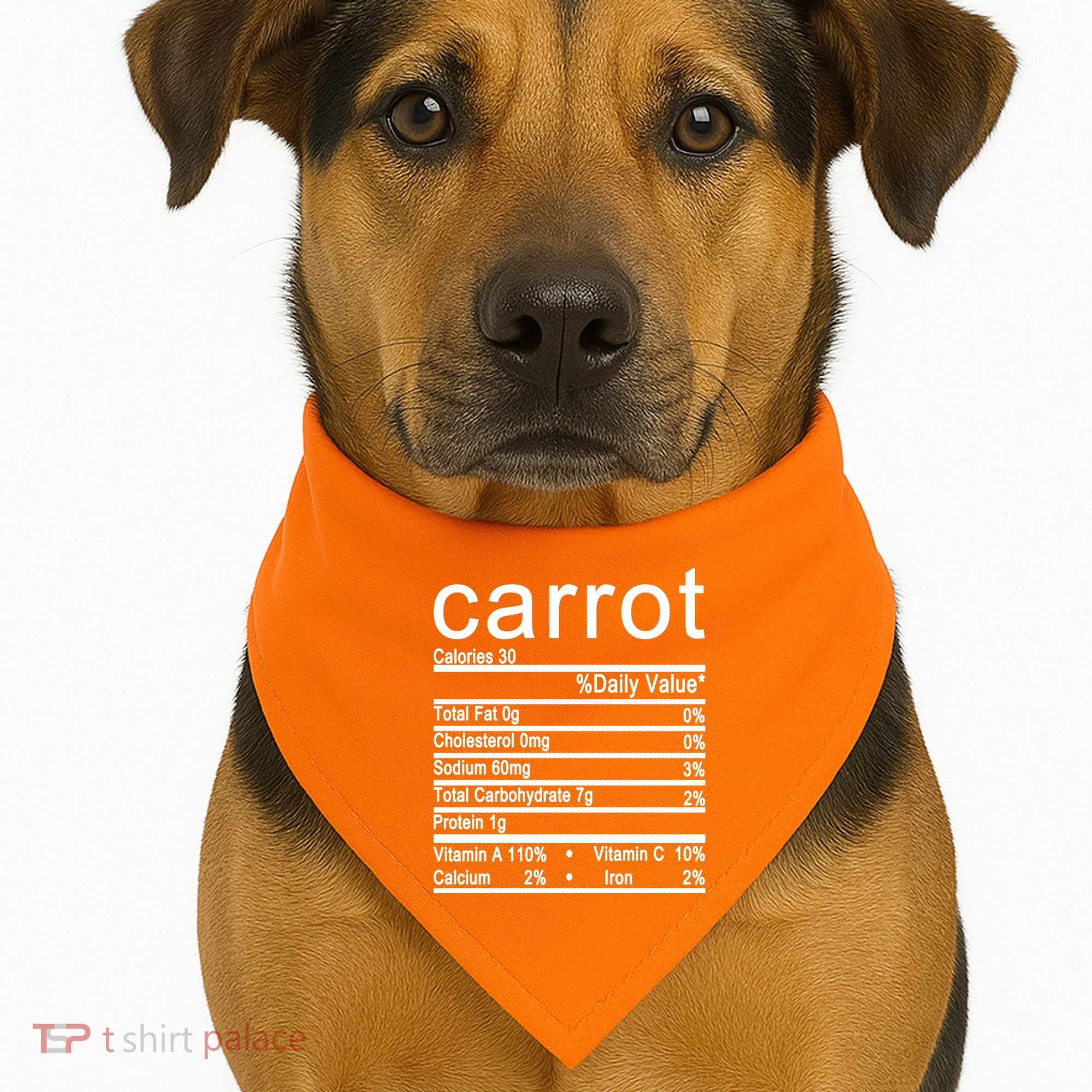 Carrot USA-Made Doggie Bandana