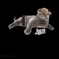 Cowboy Cat Adivse Be Rootin' Be Tootin' Be Shootin Be Kind Meme Coffee Mug thumb 5