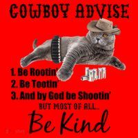 Cowboy Cat Adivse Be Rootin' Be Tootin' Be Shootin Be Kind Meme Santa Hat thumb 1