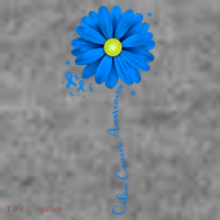 Colon Cancer Awareness Ribbon Daisy Toddler Hoodie thumb 2