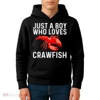 Cool Crawfish Art For Lobster Crawdad Boil Food Kids Hoodie thumb 4