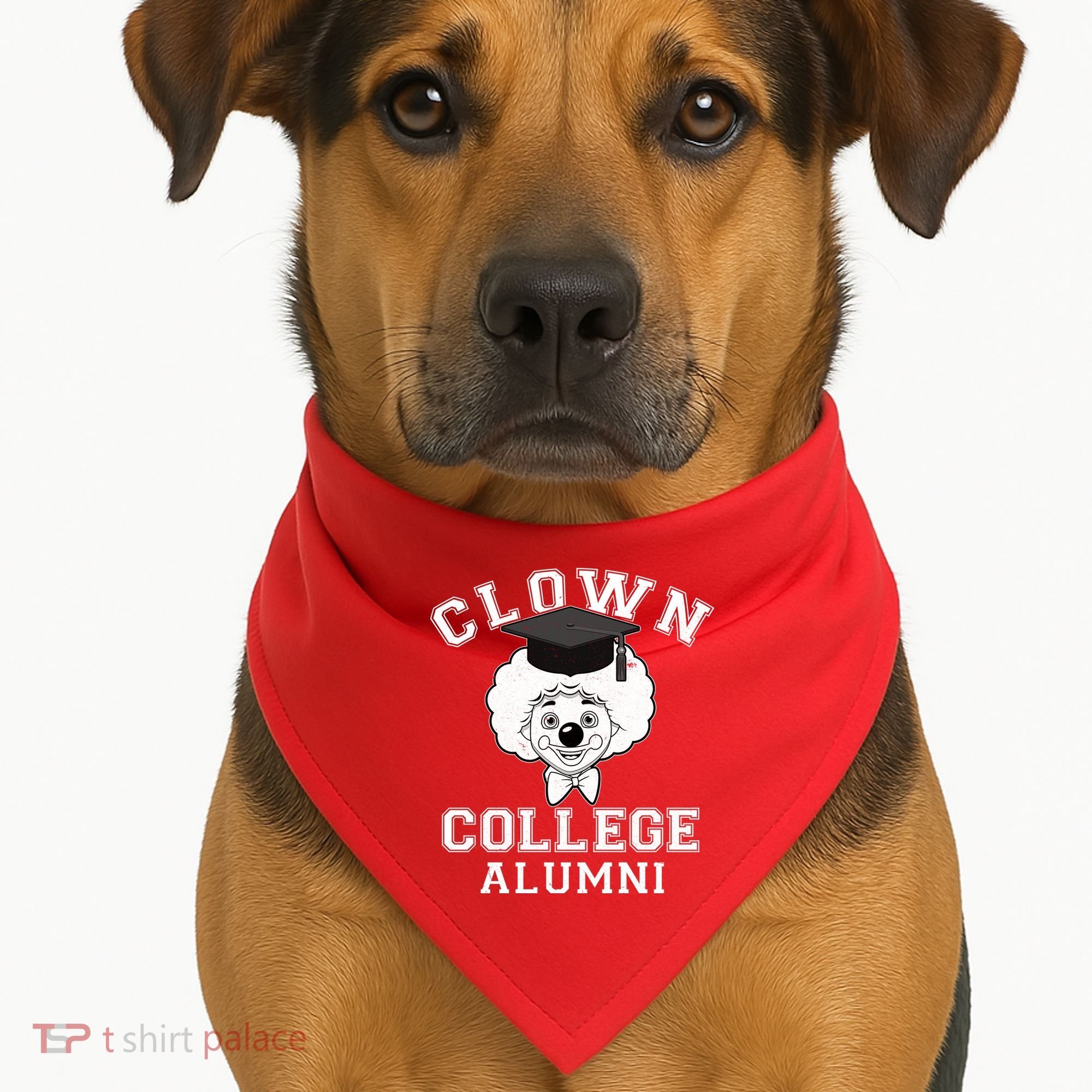 Clown College Alumni USA-Made Doggie Bandana