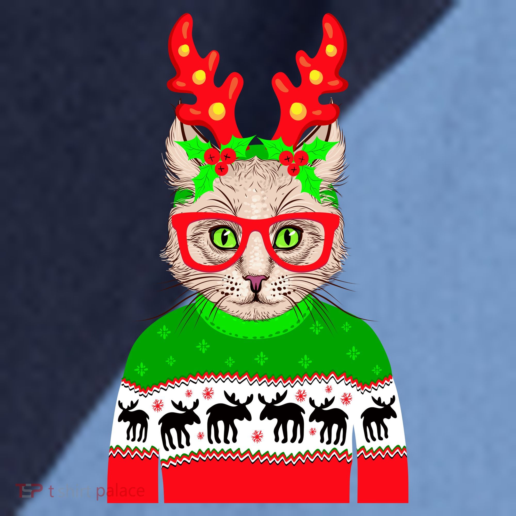 Funny Hipster Christmas Party Cat Raglan Baseball Sleeve Shirt