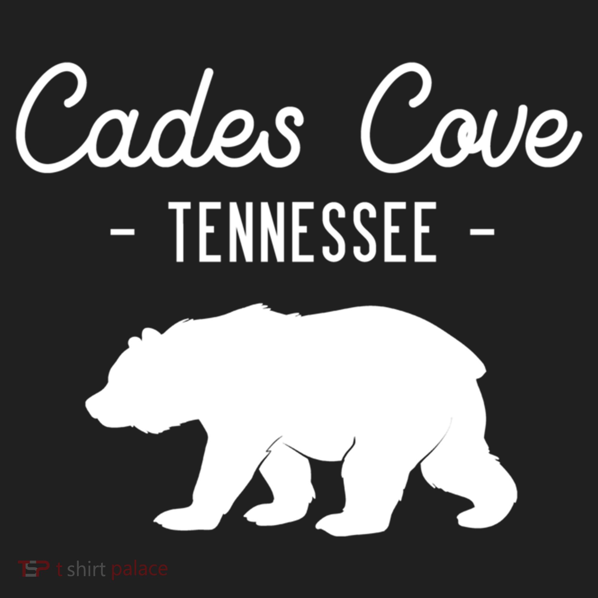 Cades Cove Bear Retro Tennessee Great Smoky Mountains Meaningful Gift Beanie