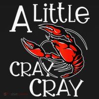 Cajun Crawfish Boil Party A Little Cray Mardi Gras Southern Women's Hoodie thumb 2