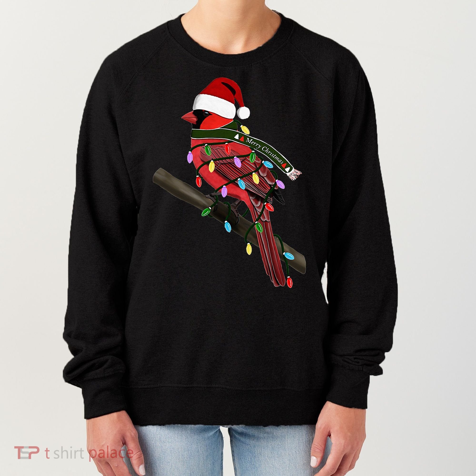 Cardinal Christmas Bird Santa Claus Biologist Animal Women's Sweatshirt